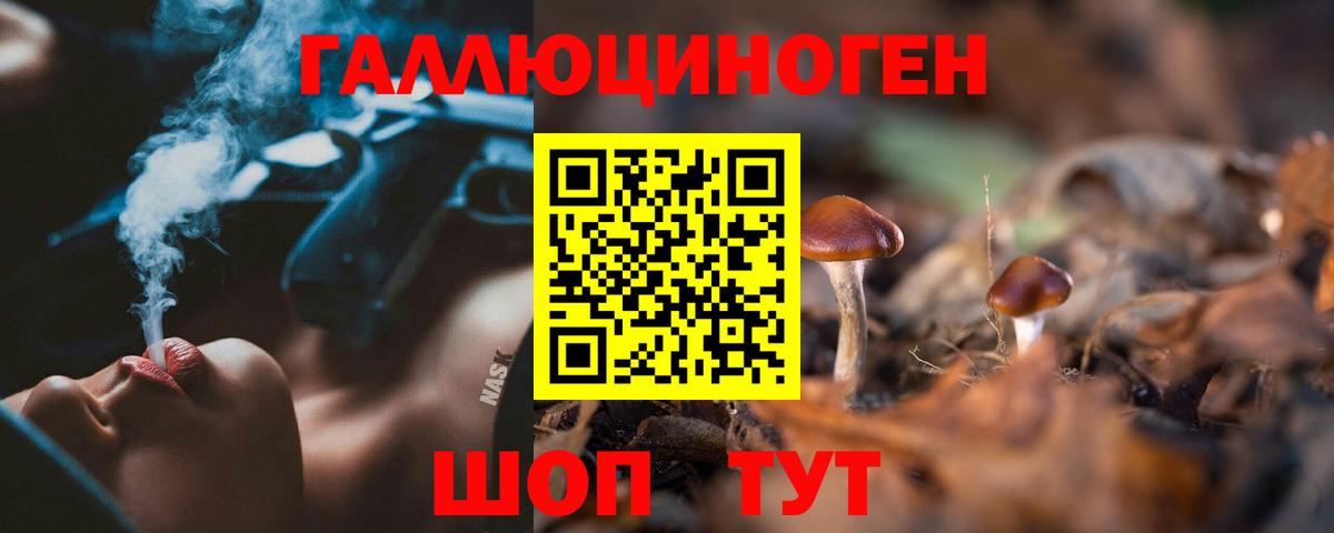 Псилоцибиновые грибы мухоморы Темрюк
